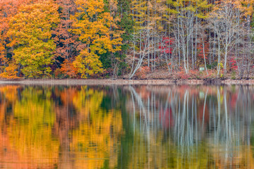 長野県大町市の青木湖の紅葉