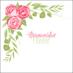 Vector ranunculus flower