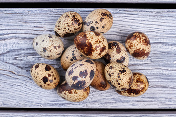 Pile of quail eggs. Eggs on gray wooden background.