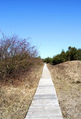 road path nature landscape sky beach