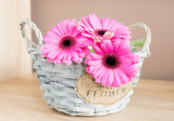 Fototapeta na wymiar Gerbera flower in the basket