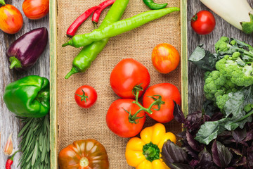 Set of vegetables in the tray
