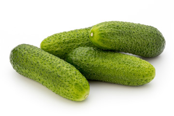 The first spring ecologically cucumbers.