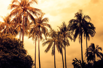 Fototapeta na wymiar Silhouette coconut palm trees with sun light on sunset sky background. Travel concept. Photo from Kabi, Thailand. Vintage colors and boost up color processing.