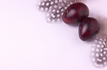 Quail easter eggs decorated with spotted feathers.