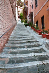 Flower pots and stairs: neighbourhood street in the Nafplion old town