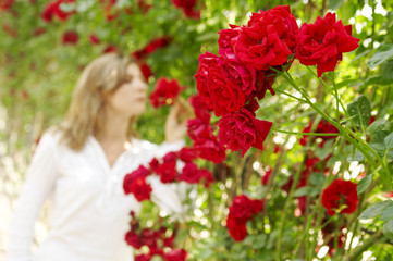 Red Rose Flowers in green garden, de focused Woman on background smelling Flower