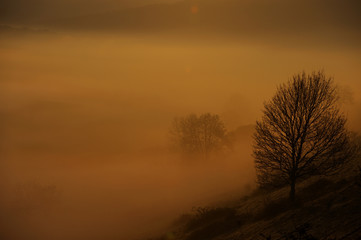 Nebelstimmung bei Sonnenaufgang