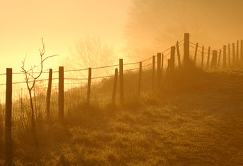 Weidezaun bei Nebel und Sonnenaufgang