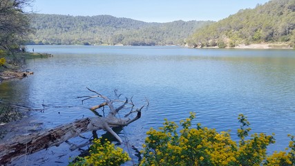 Lac de Carcès - Var - France