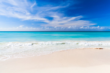 Beach in Dominican republic, Saona island