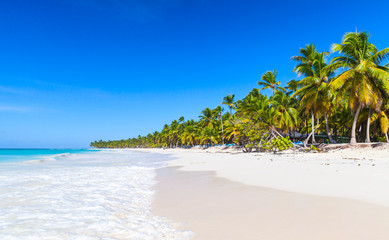 Caribbean Sea, Dominican republic, Saona