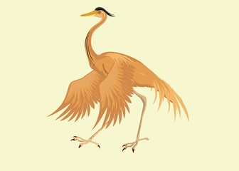 Redhead Heron isolated vector illustration