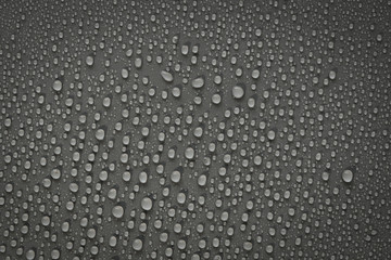 water drops on black background. Macro.