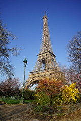 Paris Monument 195