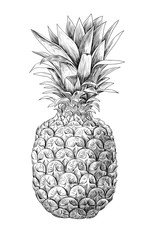 Obraz premium Pineapple fruit on white background. Element for design.