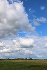 Obraz na płótnie Canvas lanscape meadow sky cloud 