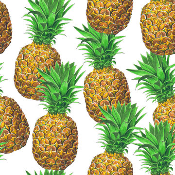 Pineapple fruit seamless pattern. Hand drawn element for design.