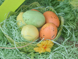 Colorful easter eggs in nest