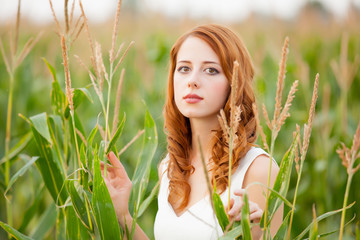 Fototapeta premium photo of beautiful young woman standing near the growing wheat
