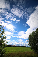 Obraz premium lanscape meadow sky cloud 