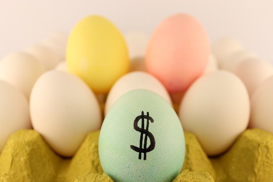 valuable egg