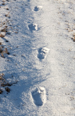 A footprint of bare feet in the snow. Trace an athlete engaged in extreme sports.