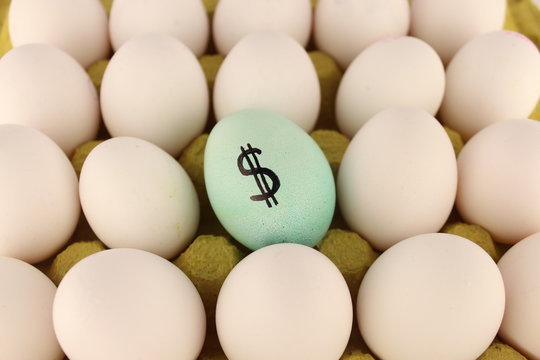 valuable egg