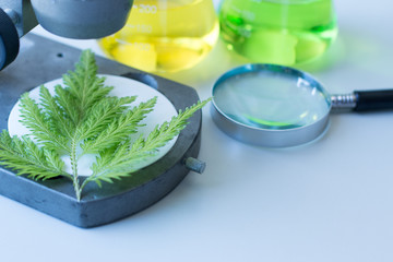 Background of Microscopic and Equipments of experiment chemical and biology in Lab.
