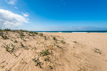 Dunes in Zahara de los Atunes natural reserve, Spain