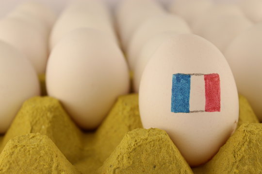 france flag on egg