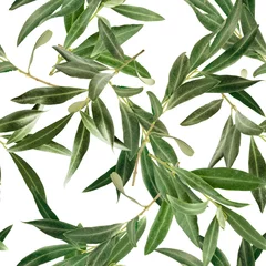 Foto auf Acrylglas Olivenbaum Nahtloses Muster mit Olivenbaumzweigen auf Weiß