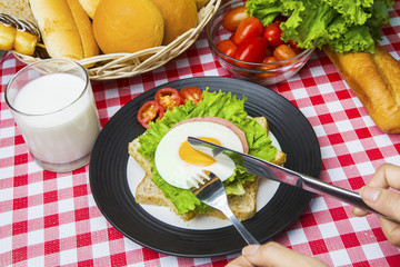 Hands cutting egg sandwich