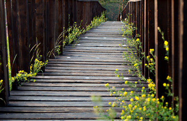 The bridge with small flowers