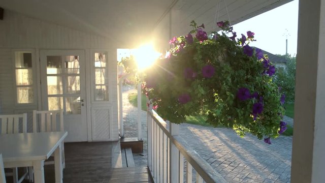 House porch and sunshine. Petunias moving in the wind.