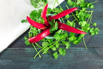 Peppers and cilantro leaves in colors of Mexican flag