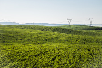 Fototapeta na wymiar Green fields terrain wih blue horizon