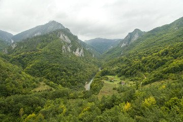 Montenegro. Durmitor National Park. Tara River Canyon