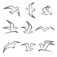 Obraz premium Zestaw Mewa. Wektor