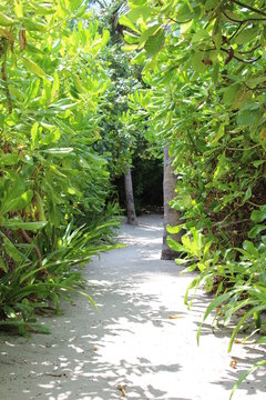 Weg ins Paradies