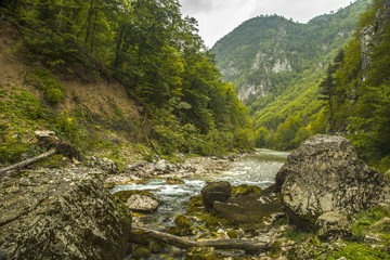 Fototapeta na wymiar Montenegro. Durmitor National Park. Tara River Canyon