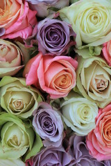 Mixed pastel roses for a wedding