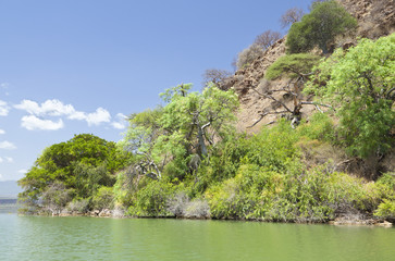 Fototapeta na wymiar Island in Lake Baringo in Kenya.