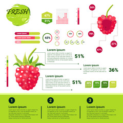 Fresh Organic Infographics Natural Fruits Growth, Agriculture And Farming Flat Vector Illustration