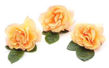 Three orange roses.