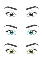 Beautiful eyebrows and eyes. Vector illustration