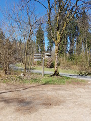Wegweiser im Wald, Richtung