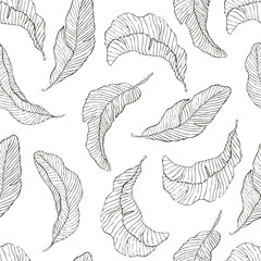 Seamless Pattern. Banana Leaves white Background.