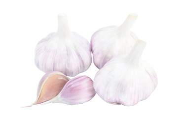 Garlic set isolated on white background