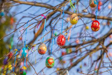 Painted Easter eggs on a tree branch
